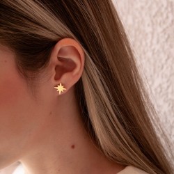 Mini Aros estrella Polar